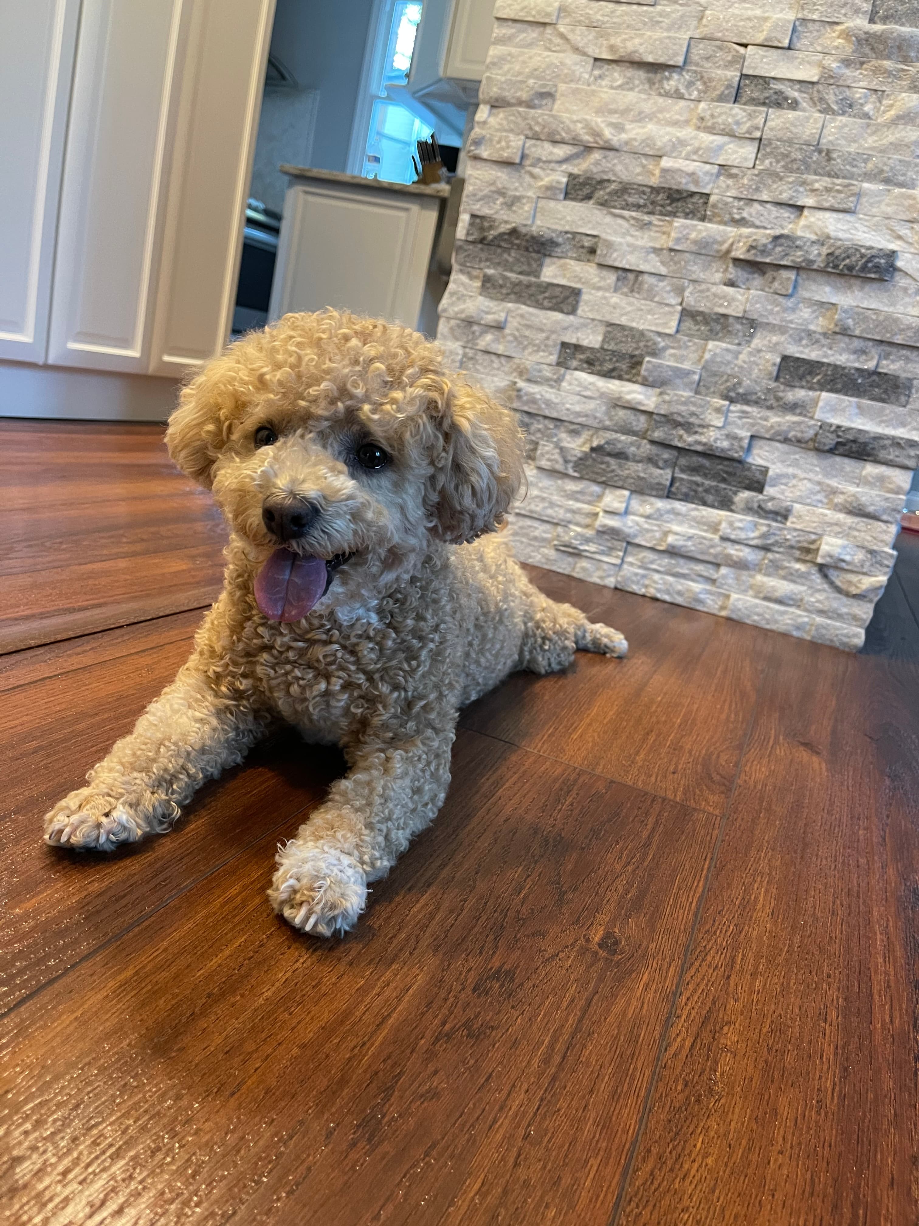 After: Healthy Gabby